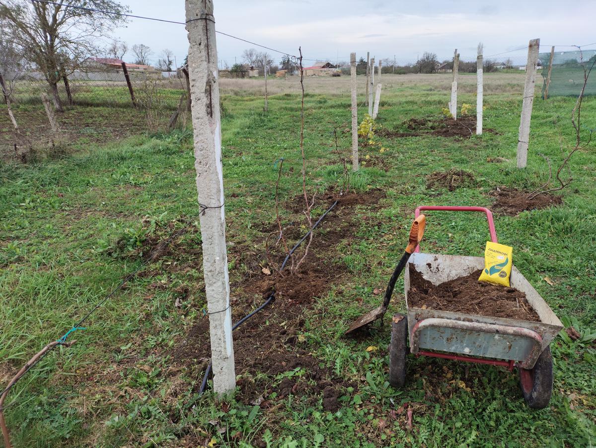 И понеслась....