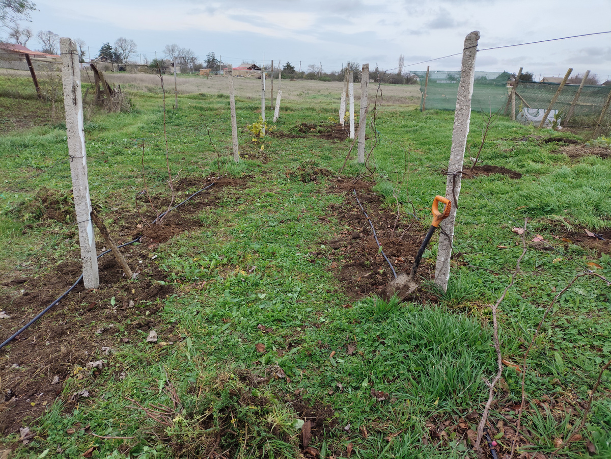 К одиннадцати часам вот только смогла осилить...