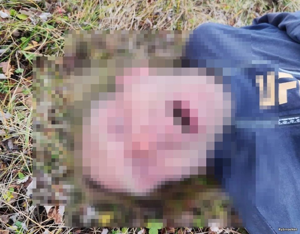    В Рыбновском районе в поле обнаружили труп. Фото: Rybnoe. net