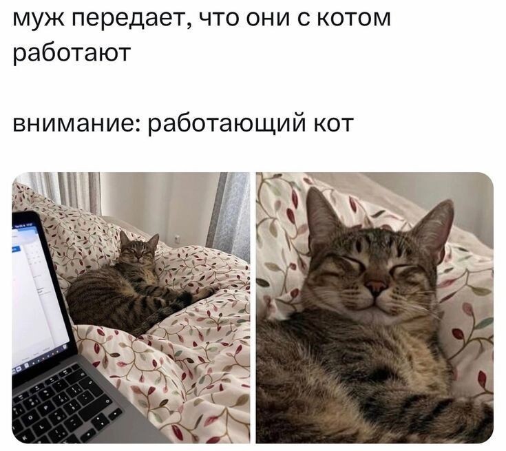 источник Яндекс-картинки