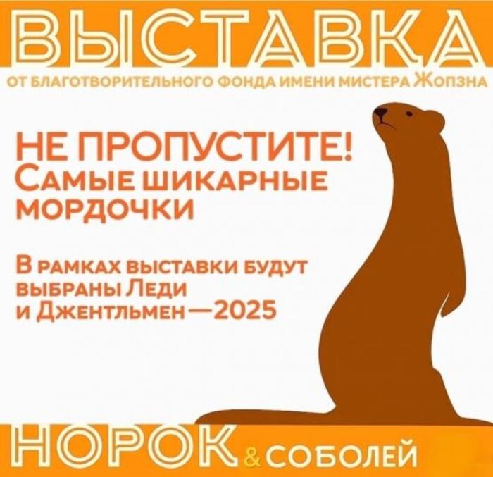 Иллюстрация: © «Панорама»