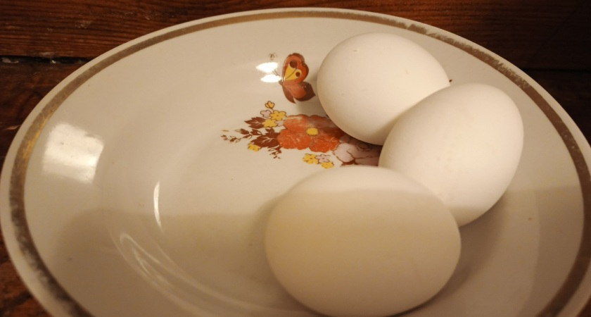    Фото irkutsk.news