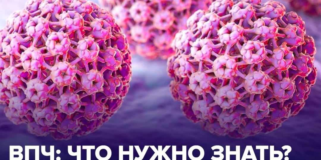 Вирус папилломы человека