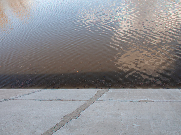     ФОТО: Svetlana Vozmilova / Global Look Press