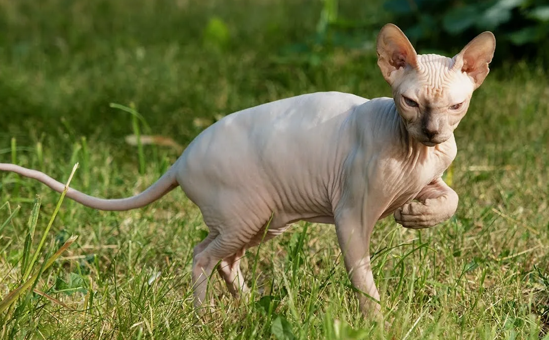 фото из открытых источников