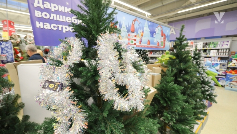      Фото: Дмитрий Ахмадуллин / / ИА «Победа26»