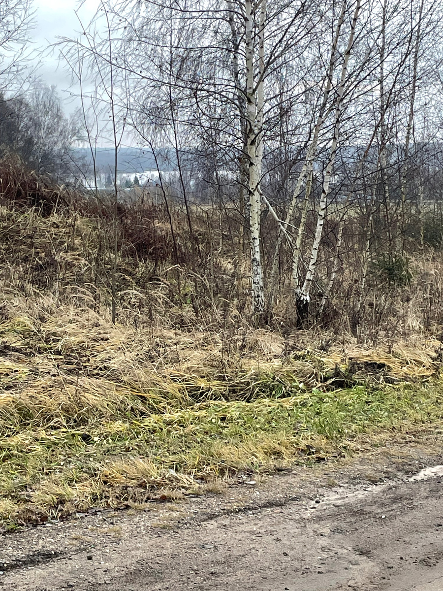 Декабрьское воскресное утро.