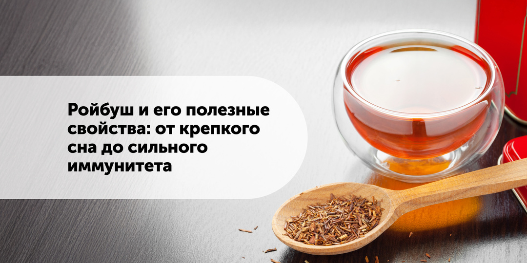 Ройбуш и его полезные свойства: от крепкого сна до сильного иммунитета