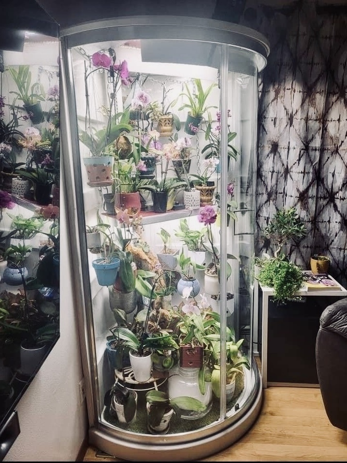 Изображение из Pinterest 