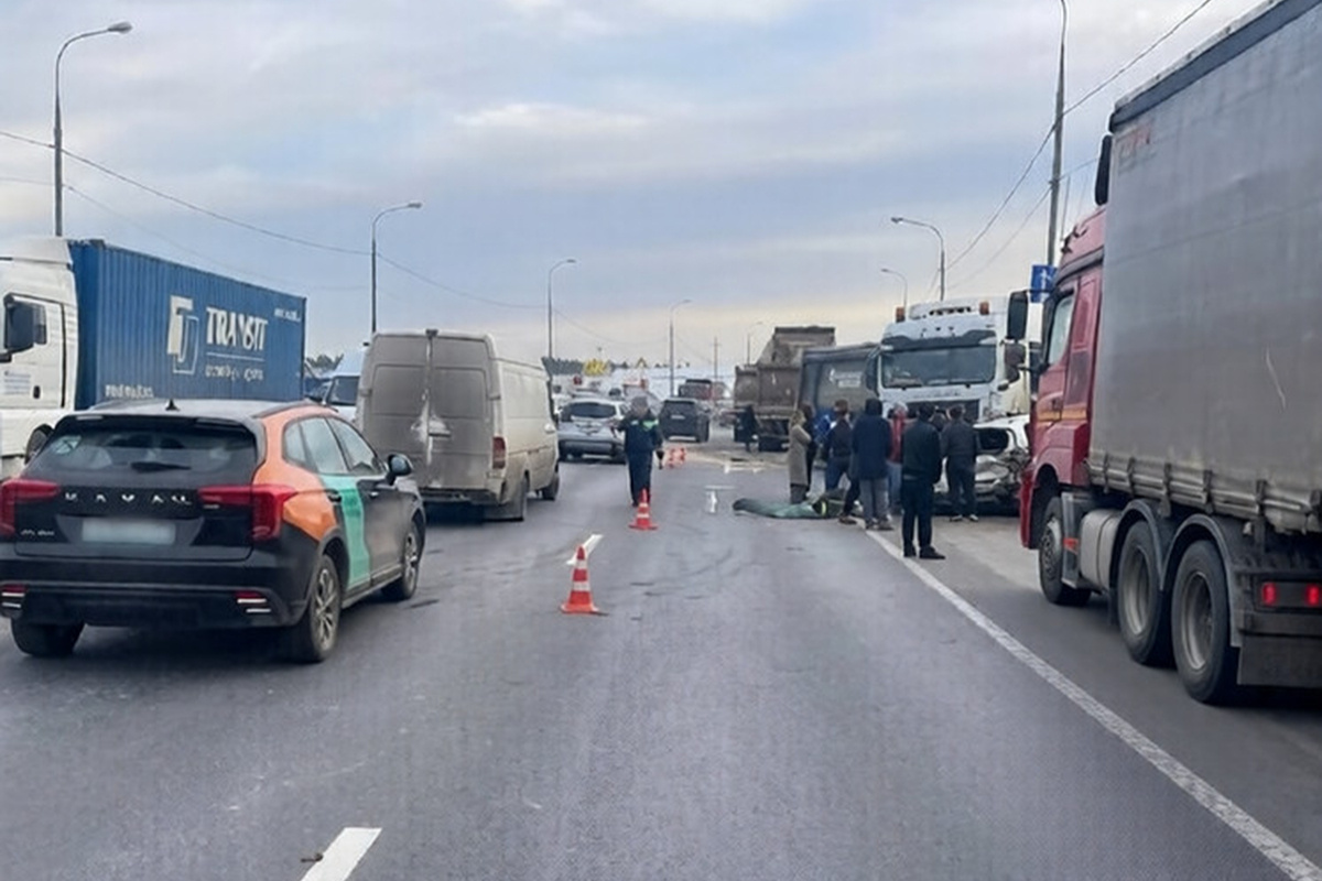    Фото: УМВД по Московской области