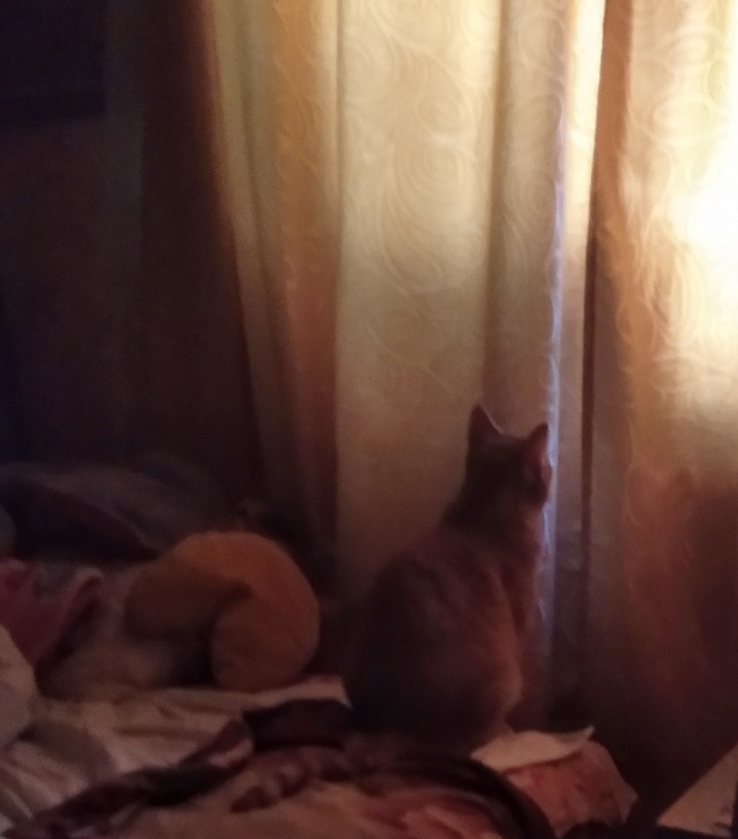 личное фото