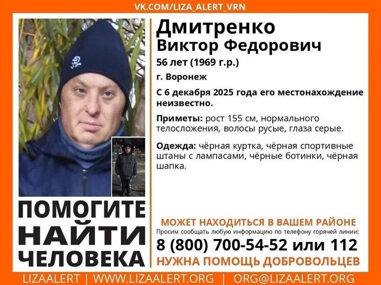     Фото: Telegram-канал поисково-спасательного отряда «ЛизаАлерт» Воронежской области