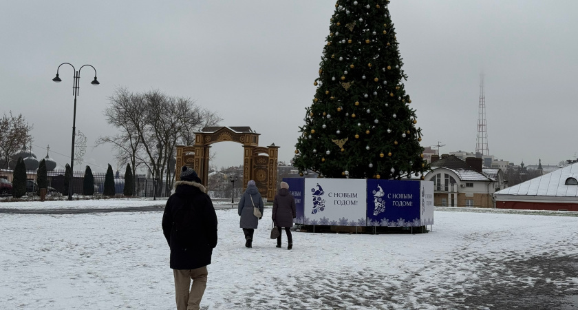    Фото: progorod43.ru