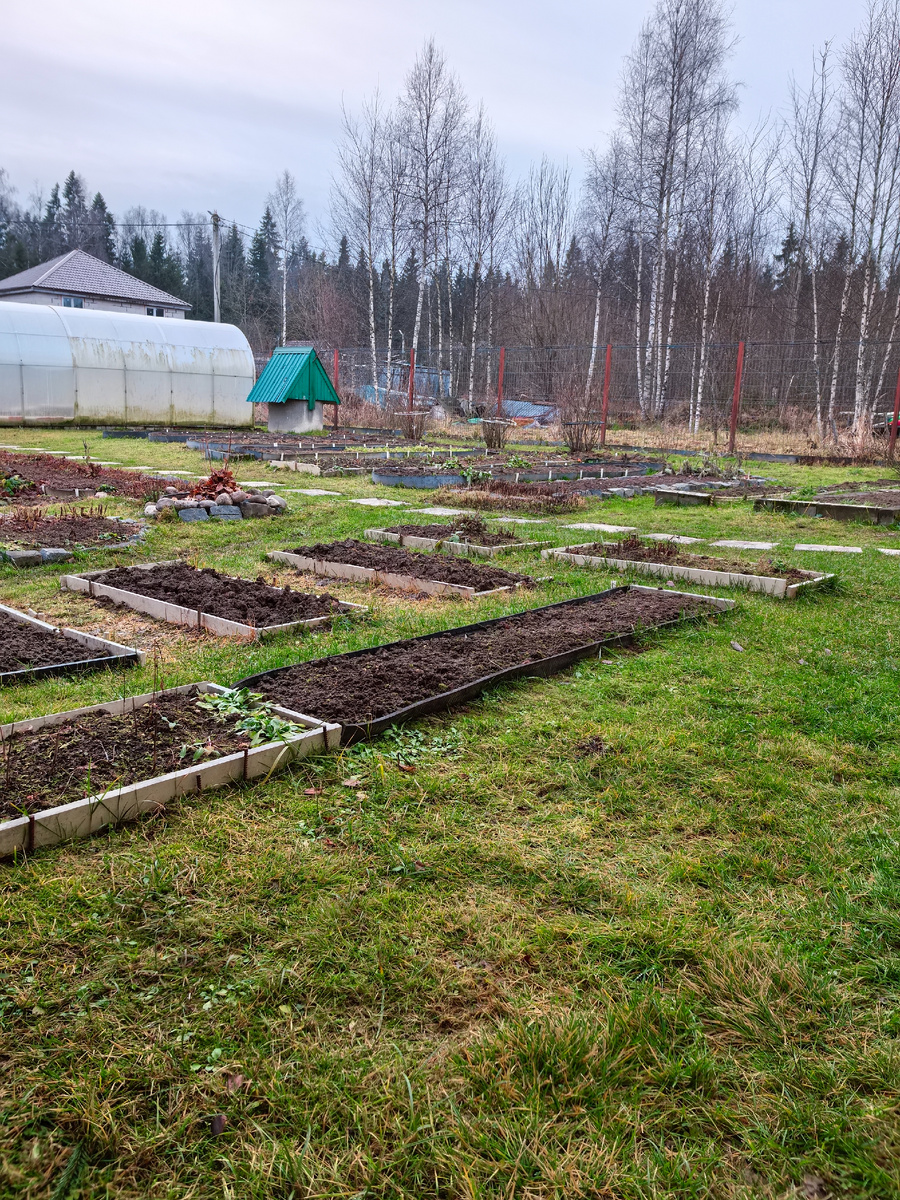 Та самая зелень
