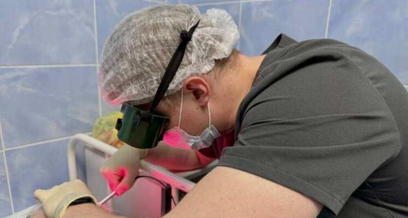    Фото с сайта Правительства Вологодской области