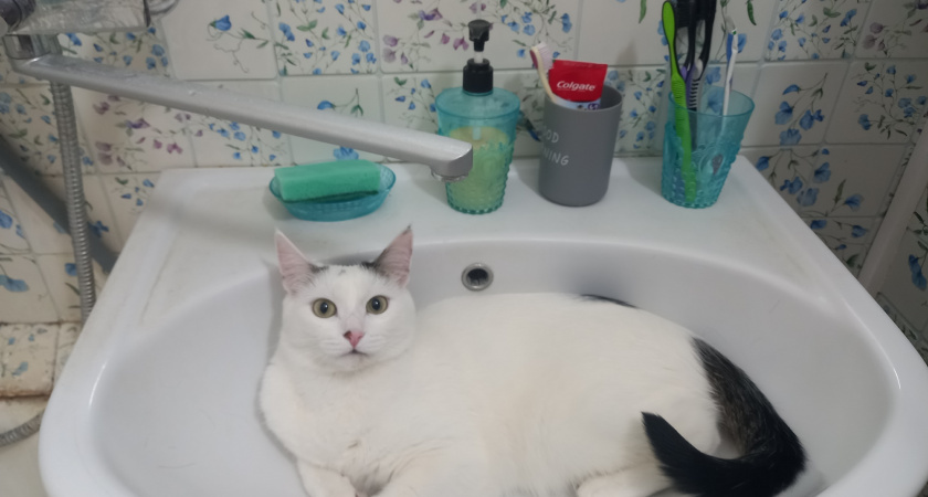    Фото: volgogradru.com