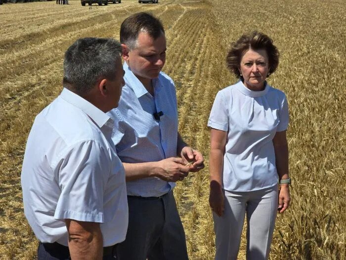 Обратились за пролонгацией кредитов пока только 100 фермеров, а нуждается в этом не меньше 300 // Фото: Правительство Ростовской области