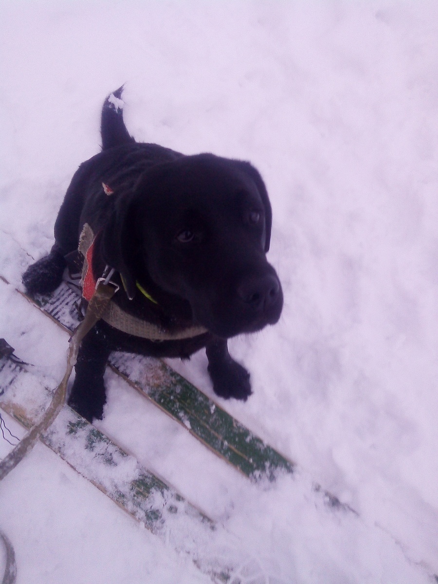 Фото автора. 