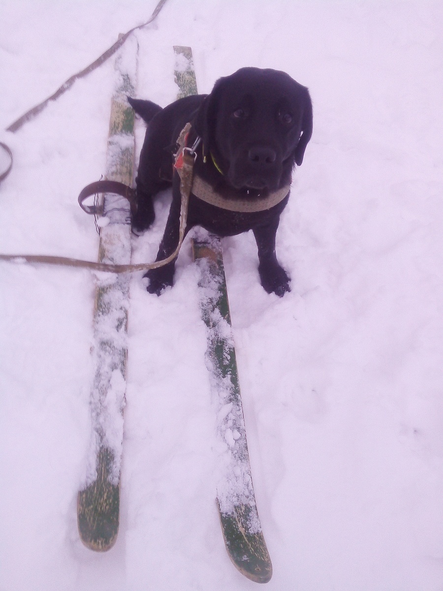 Фото автора. 