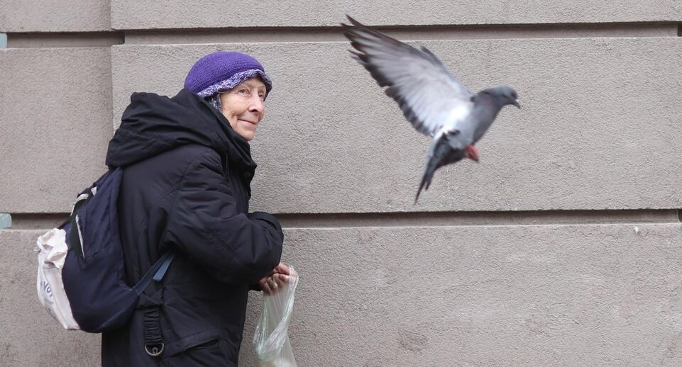 Пенсии нет, а льготы есть: кто станет предпенсионером в 2026 году и как подтвердить этот статус