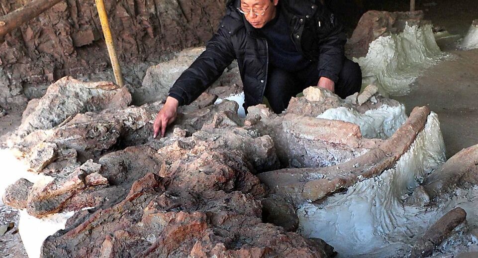    Wang Song / www.globallookpress.com