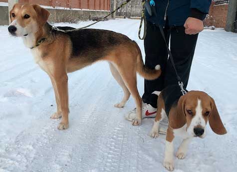Фото: Кристина Акулинина / chel.kp.ru / предоставлено для публикации hornews.com