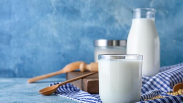    © Photo : Stock.adobe / Pixel-Shot