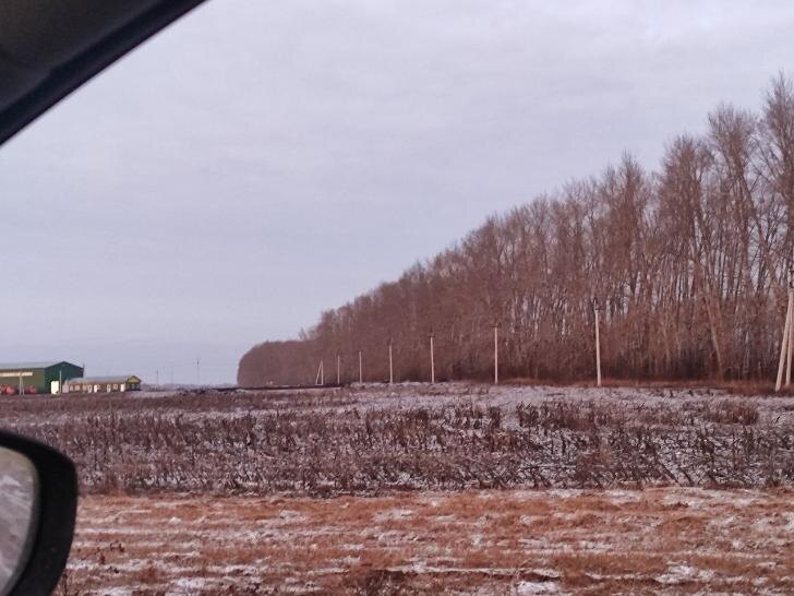    Фото: Пруфы.РФ