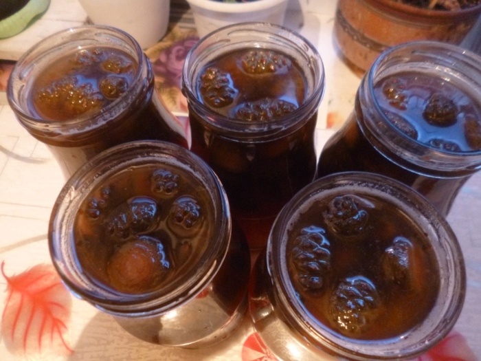 Сосновое варенье