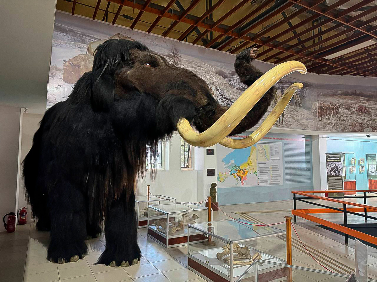 Семейный парк Костёнки