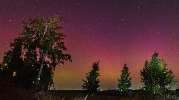    © РИА Новости . Андрей Попов