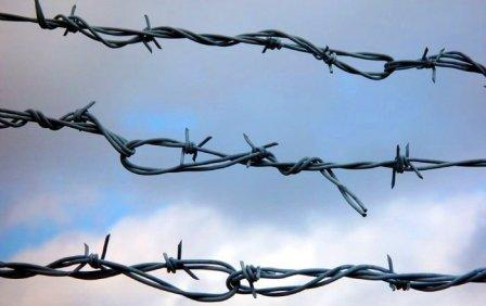   Иллюстрация из Интернета