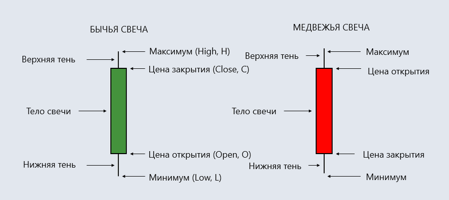 Строение тела свечи.