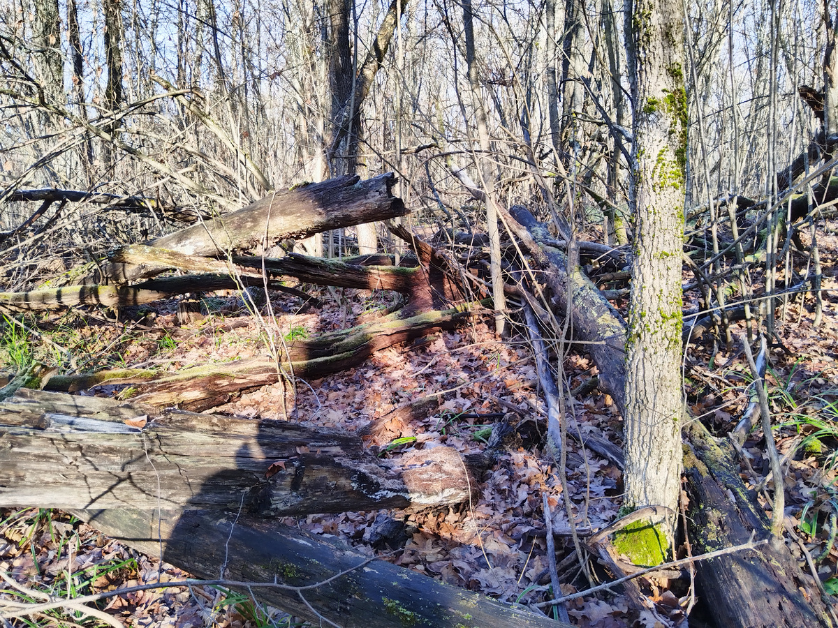 Было бы в миллион раз хуже