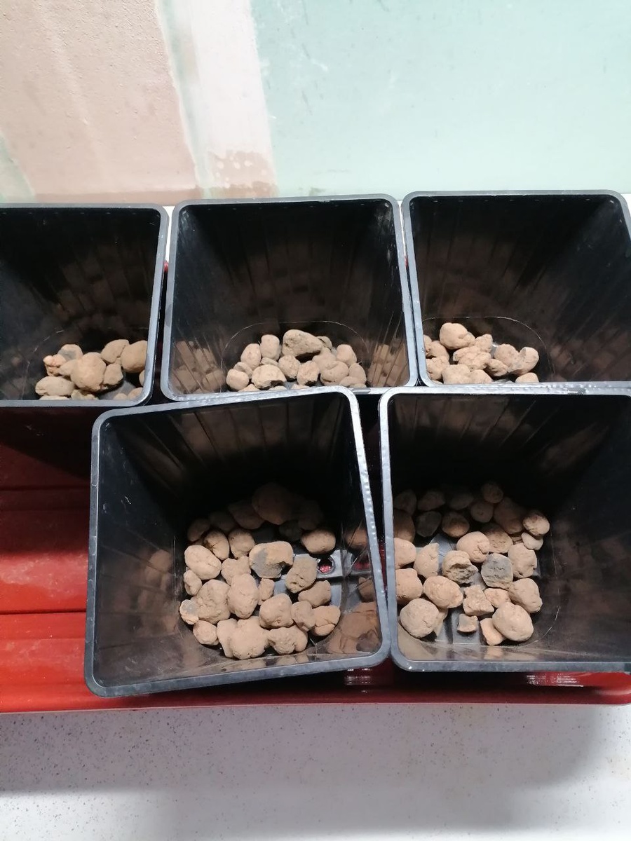 1лтровые горшки и средний дренаж