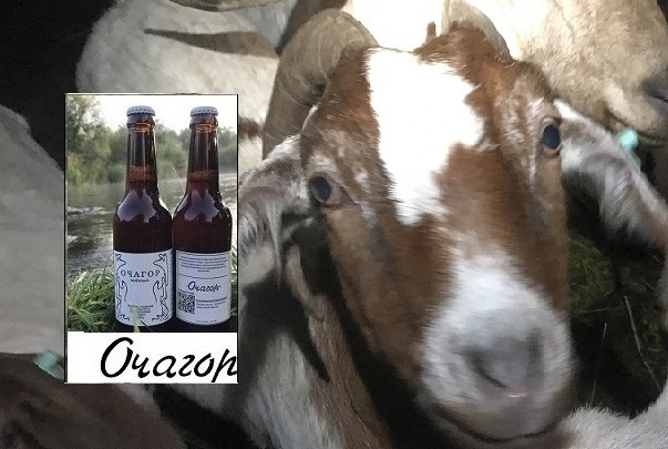 Самое вкусное мясо!? Конечно козлятина! Если вы не ели козлятину, то ничего не понимаете в «конной авиации и колбасных обрезках»…