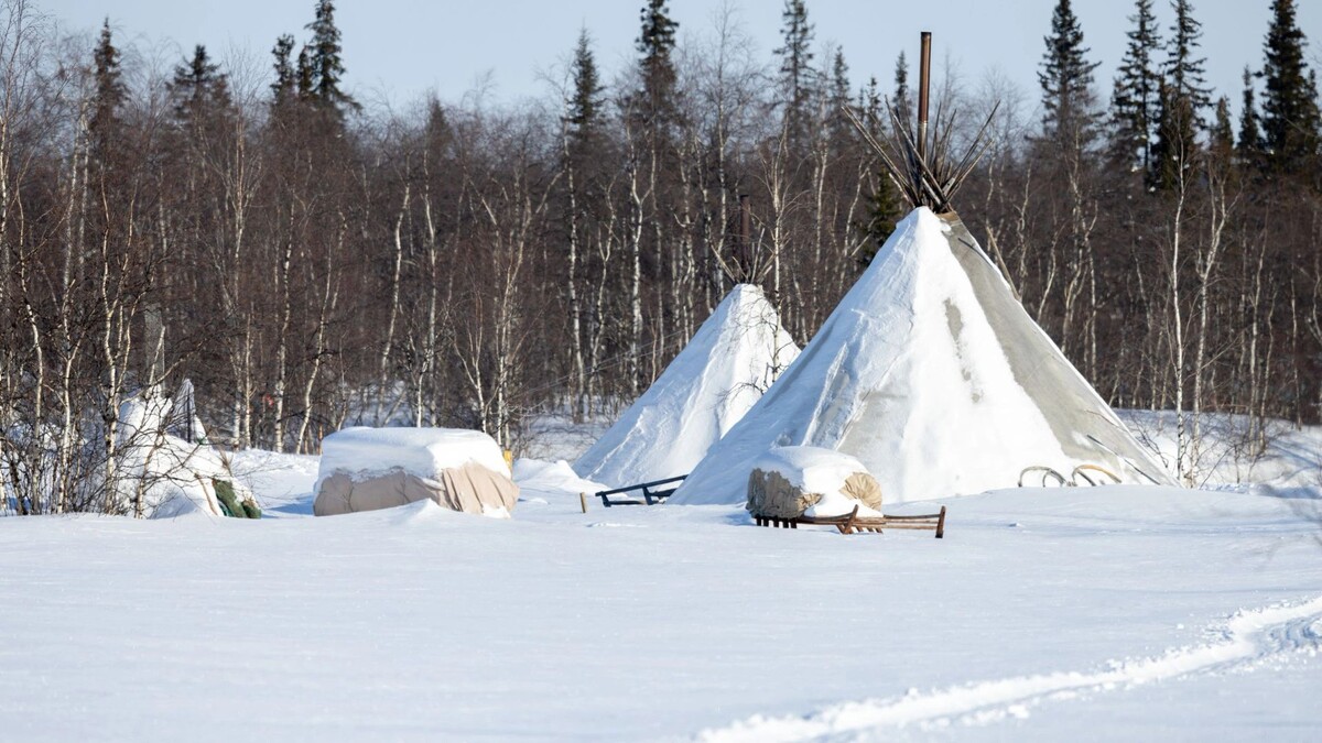    Фото: Федор Воронов/«Ямал-Медиа»