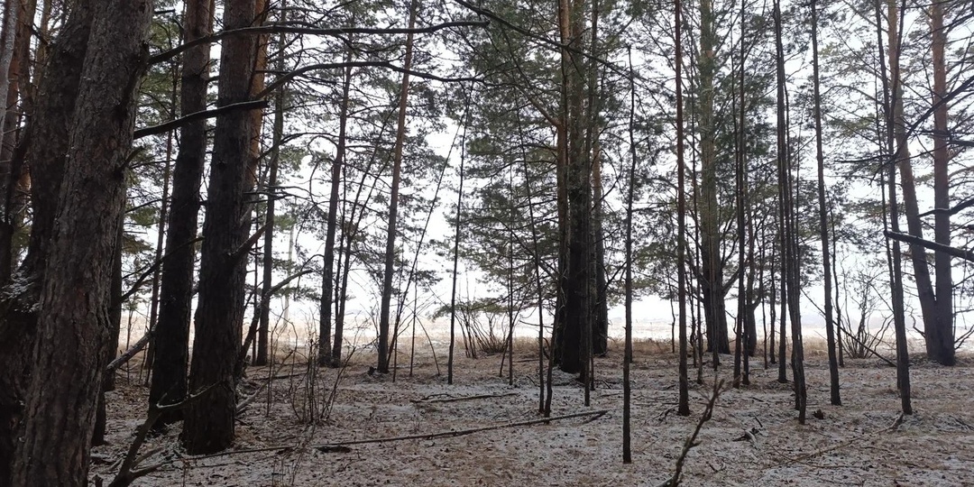 Когда приходит зима и вера в какое-то новогоднее чудо