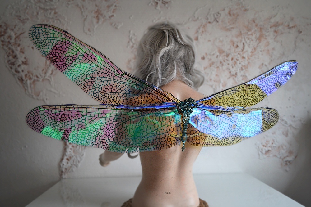 Крылья интересны не только мамам детишек. Многие фотосессии без них не обходятся: беременяшки, конкурсы красоты, тематические съемки, реклама и др.