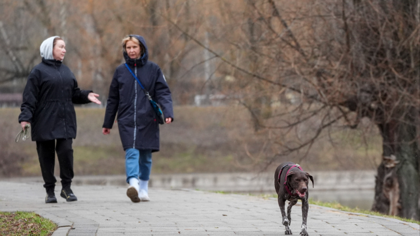    Фото: ИЗВЕСТИЯ/Эдуард Корниенко