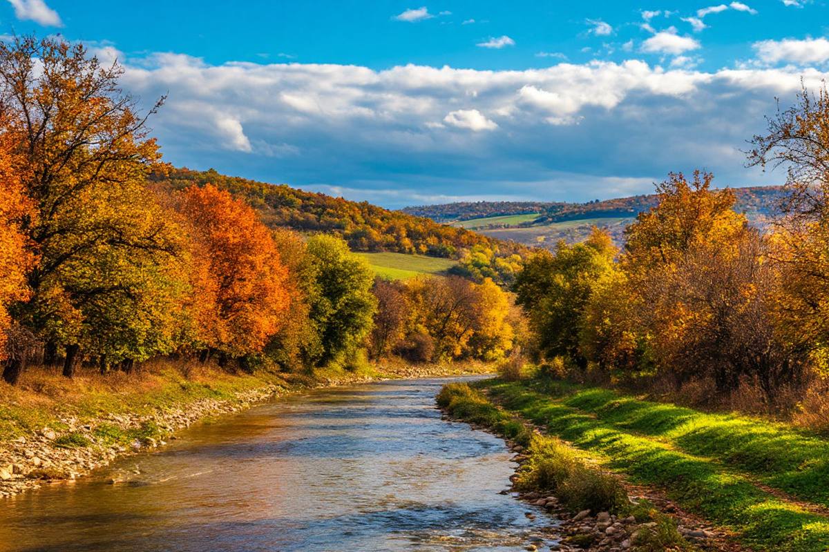    Фото: Коллаж RuNews24.ru