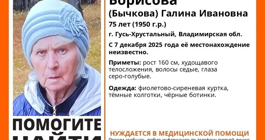 Нуждающаяся в медпомощи пожилая женщина провала во Владимирской области
