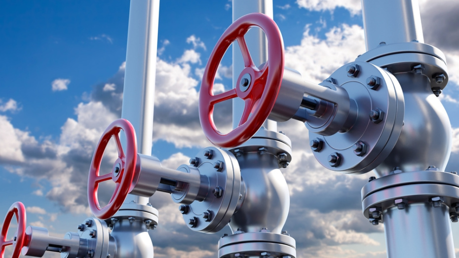    Shutterstock/FOTODOM