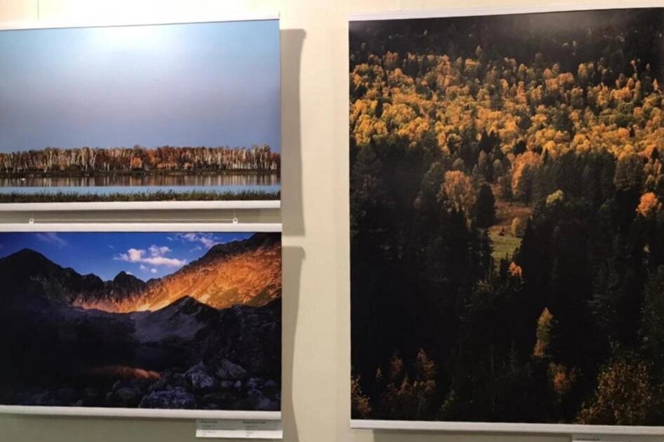    Фото: АиФ-Северный Кавказ/ Элла Давыдова