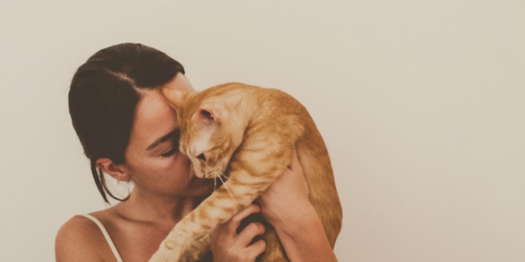 Учёные выяснили, каких людей на самом деле любят кошки