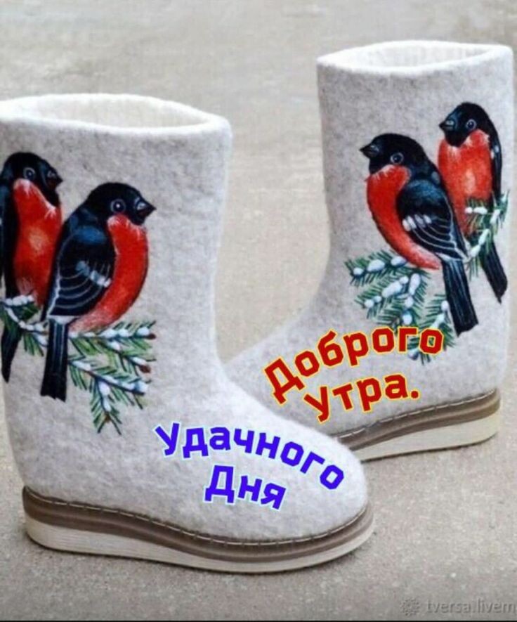 Фото из открытого источника в интернете.