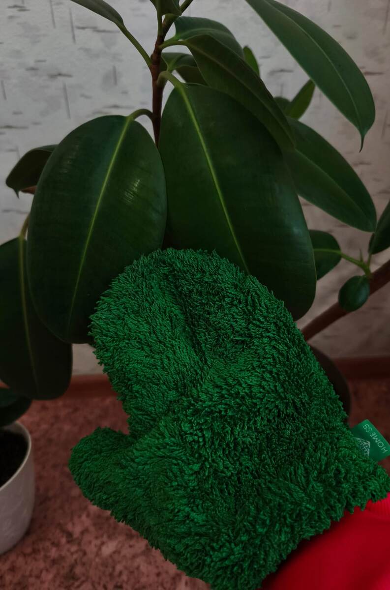 Отличная варежка - вытирает пыль не только с мебели, листья растений тоже очищает.