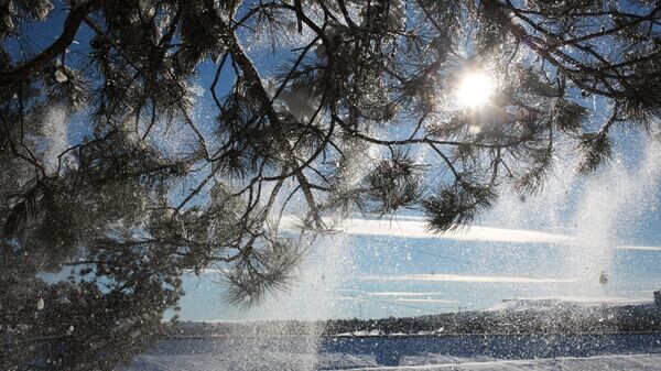    © РИА Новости . Макс Ветров