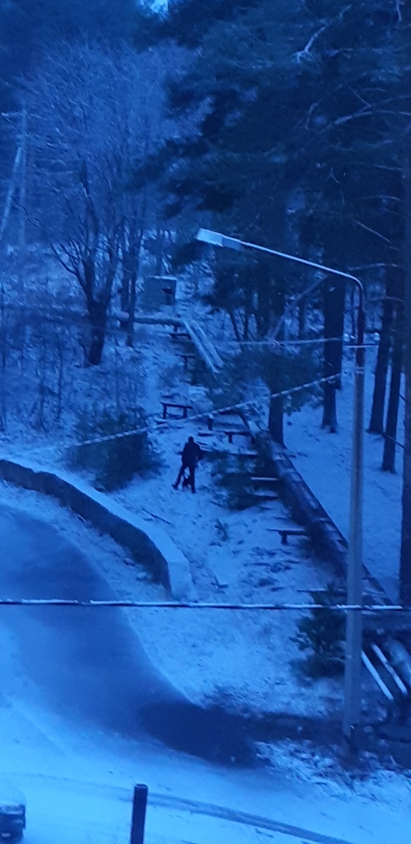 Человек и кошка.