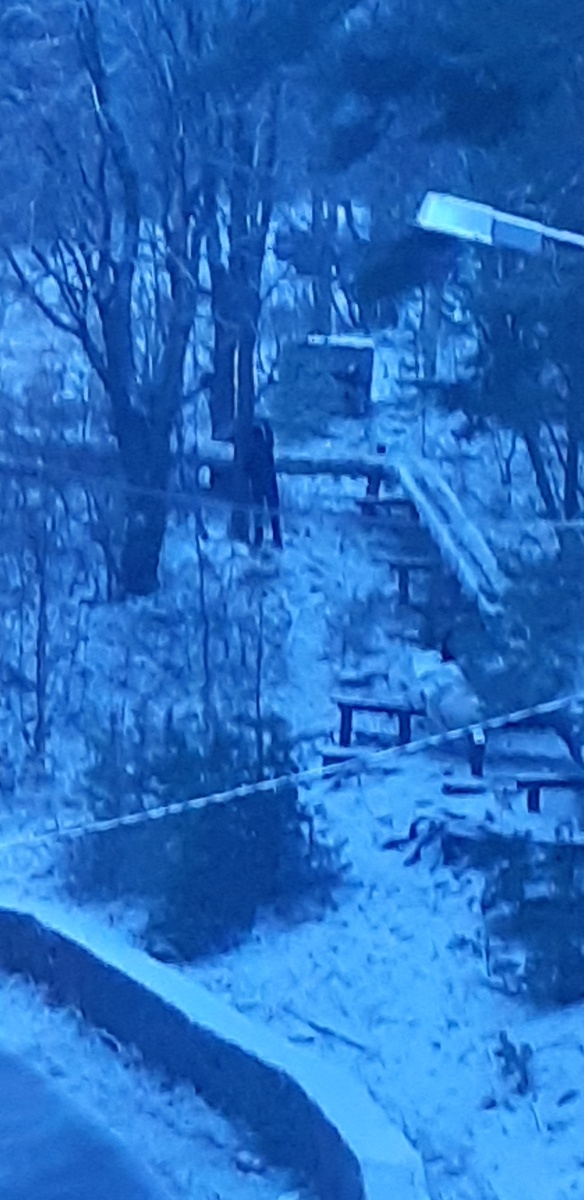 Телемастер за работой